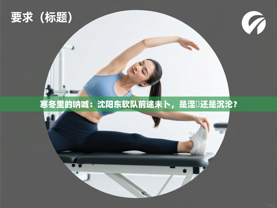 寒冬里的呐喊：沈阳东软队前途未卜，是涅槃还是沉沦？  第2张